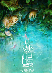 苏醒封面