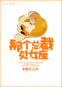 那个总裁,处女座封面