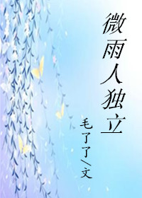 独立微雨中封面
