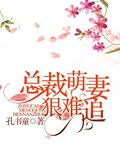 总裁萌妻狠难追 总裁萌妻狠难追