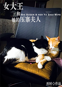 女大王和她的压寨夫人 女大王和她的压寨夫人