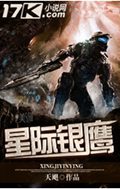 星际银鹰封面