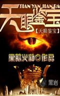 天眼鉴宝封面