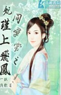 妃同寻常之瑾上飞凤封面