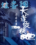 天蓬纵横封面
