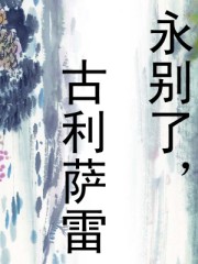 永别了,古利萨雷封面