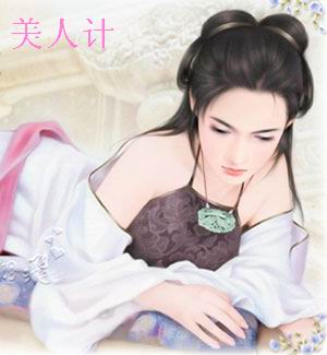 不是美人也可以用美人计封面