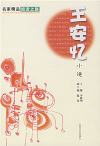 王安忆全集封面