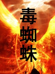 毒蜘蛛封面