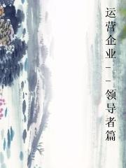 运营企业--领导者篇封面