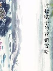 时代赋予的营销方略封面
