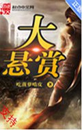 大悬赏封面