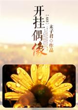 开挂偶像封面