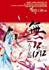 无品太子妃封面