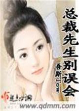 总裁先生别误会封面