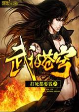 武极苍穹封面