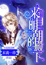 来自明朝的殿下封面