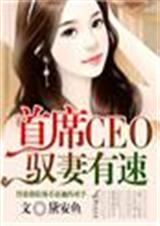 首席CEO,驭妻有速封面