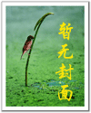 异界秦国封面
