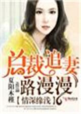 情深缘浅,总裁追妻路漫漫封面