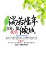 倘若槿年倾城封面