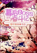幕后BOSS奋斗记封面