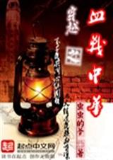 穿越之血战中华封面