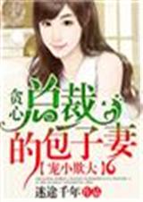 宠小欺大,贪心总裁的包子妻!封面