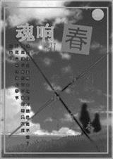 魂响封面