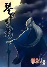 琴踪剑影封面