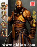 异界金刚封面