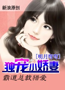 霸道总裁猎爱:独宠小娇妻封面