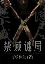 禁域谜局封面