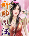 神雕风流封面