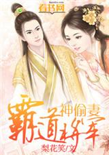 霸道将军神偷妻封面