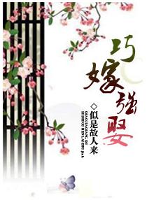 公子强娶(完结+番外)封面