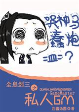全息剑三之私人GM封面