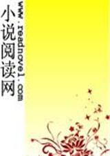 一笑覆江山封面