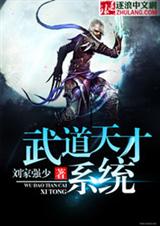 武道天才系统封面