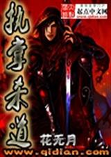 执掌杀道封面