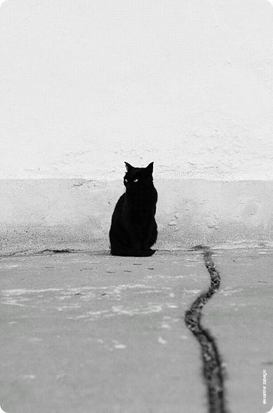 �骵ĵ��ʱ��