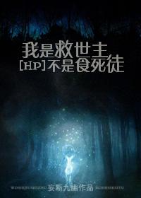 [hp]我是救世主不是食死徒封面