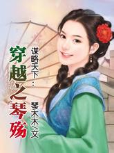 穿越之琴殇封面