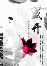 盛开封面