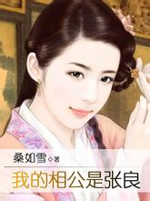 我的相公是张良封面