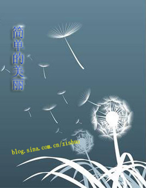 �򵥵�����