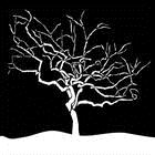 �����ζ��