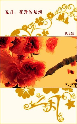 ����,�����Ĳ���