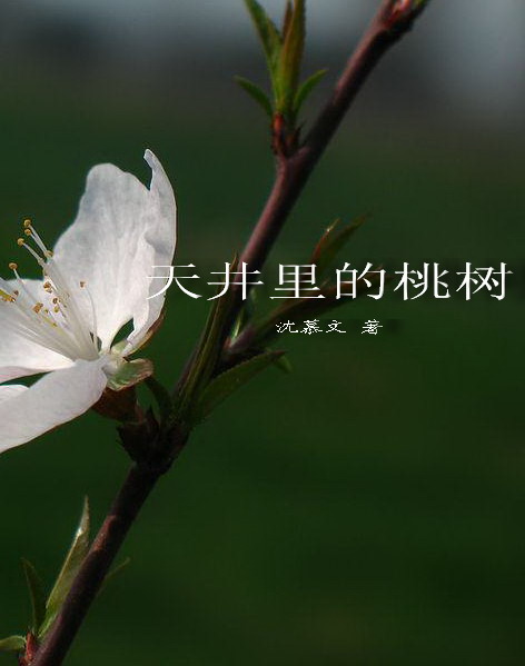 �쾮�������