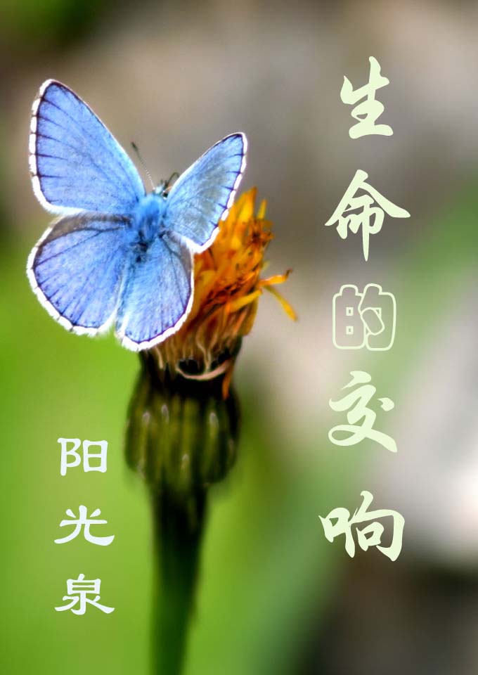 �����Ľ���